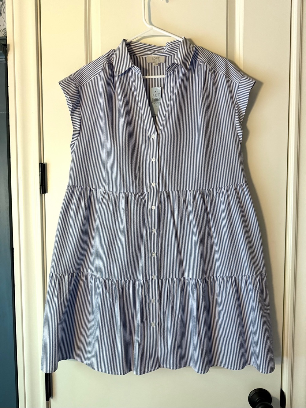 LOFT Outlet Blue and White Striped Button-Front Dress